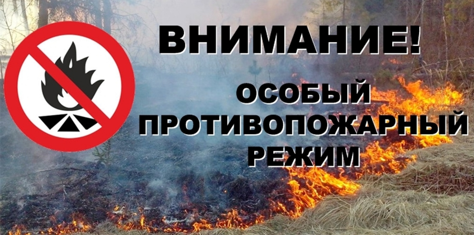 Введение особого противопожарного режима на территории Республики Коми.